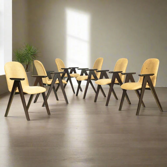 six Cedar Comfort Seat chair on a open living room with a plant  having sunlight